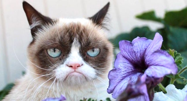 July-31-2013-20-56-57-kk